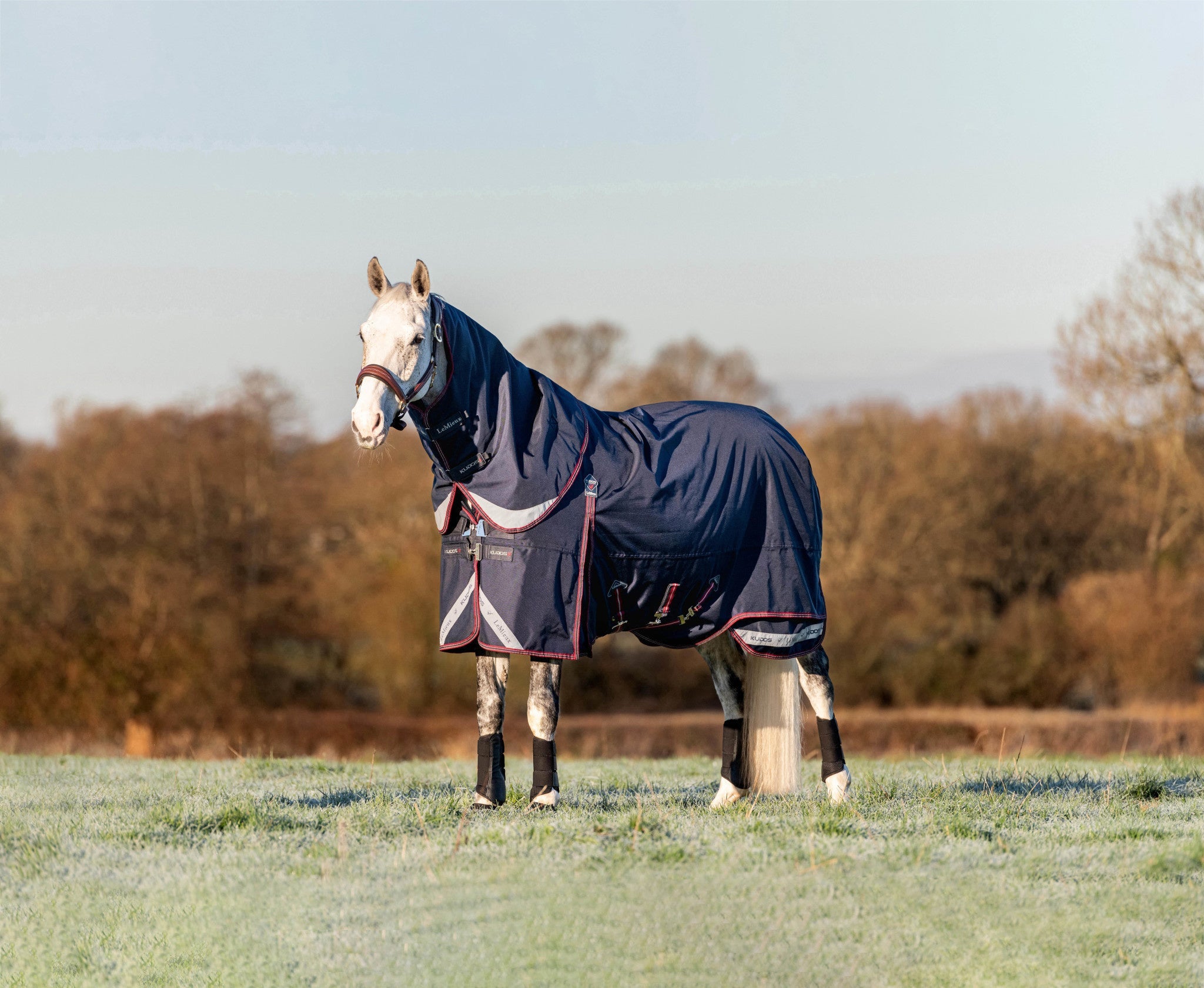 LeMieux Kudos Turnout Paardendeken Outdoordeken - Maddelin Equestrian LeMieux