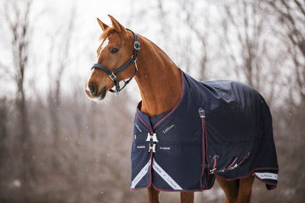 LeMieux Kudos Turnout Paardendeken Outdoordeken - Maddelin Equestrian LeMieux