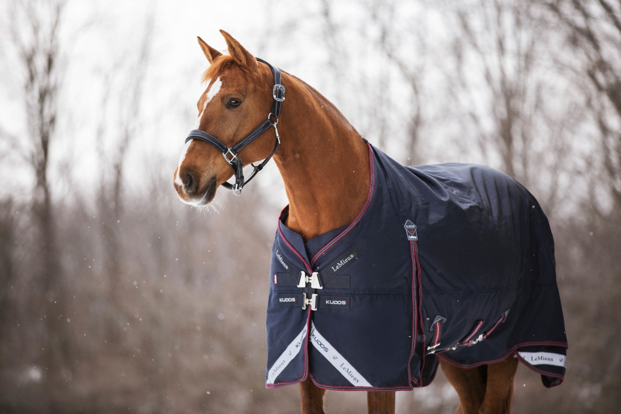 LeMieux Kudos Turnout Paardendeken Outdoordeken - Maddelin Equestrian LeMieux