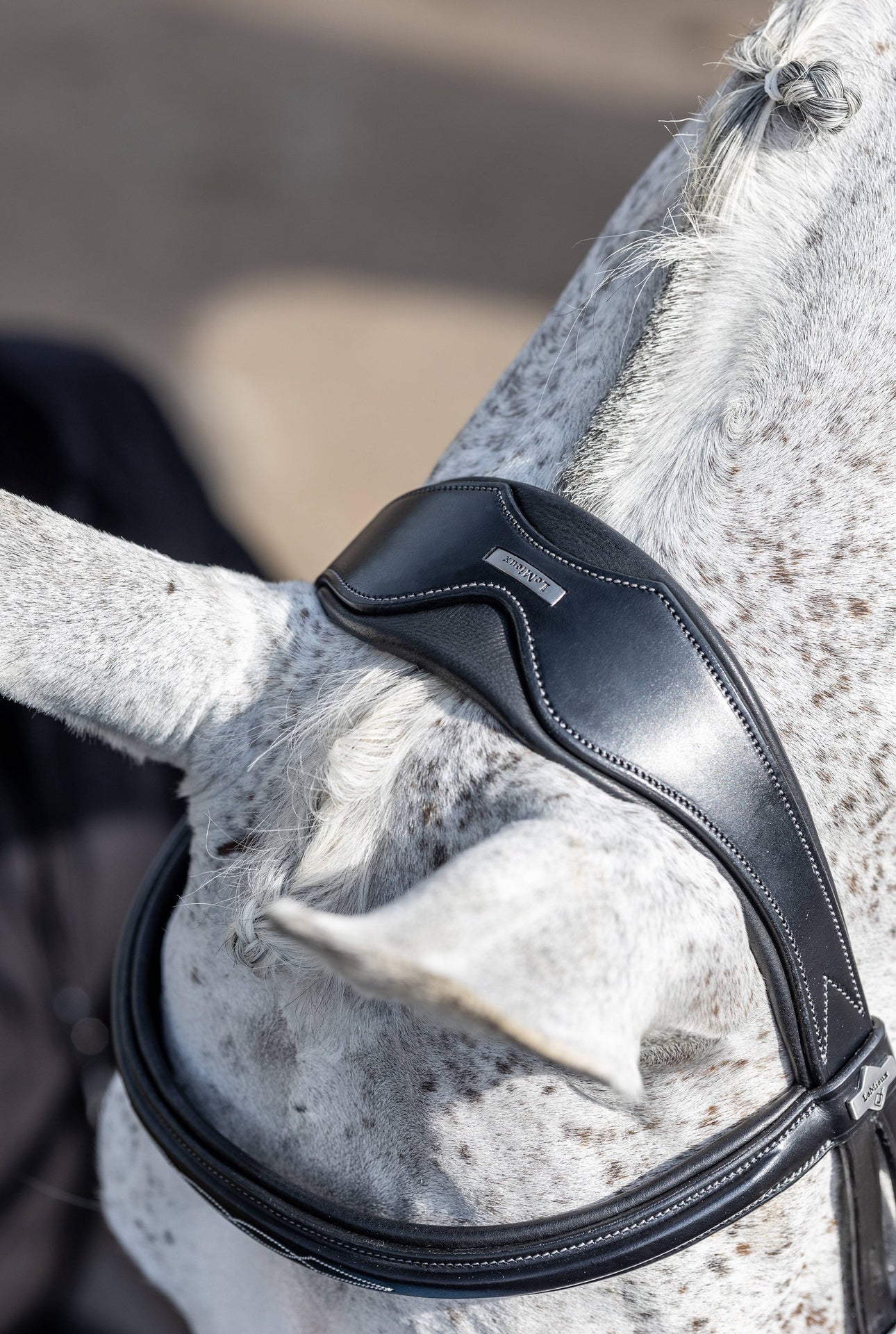 LeMieux Kudos Wedstrijd Flash Hoofdstel Trenshoofdstellen - Maddelin Equestrian LeMieux