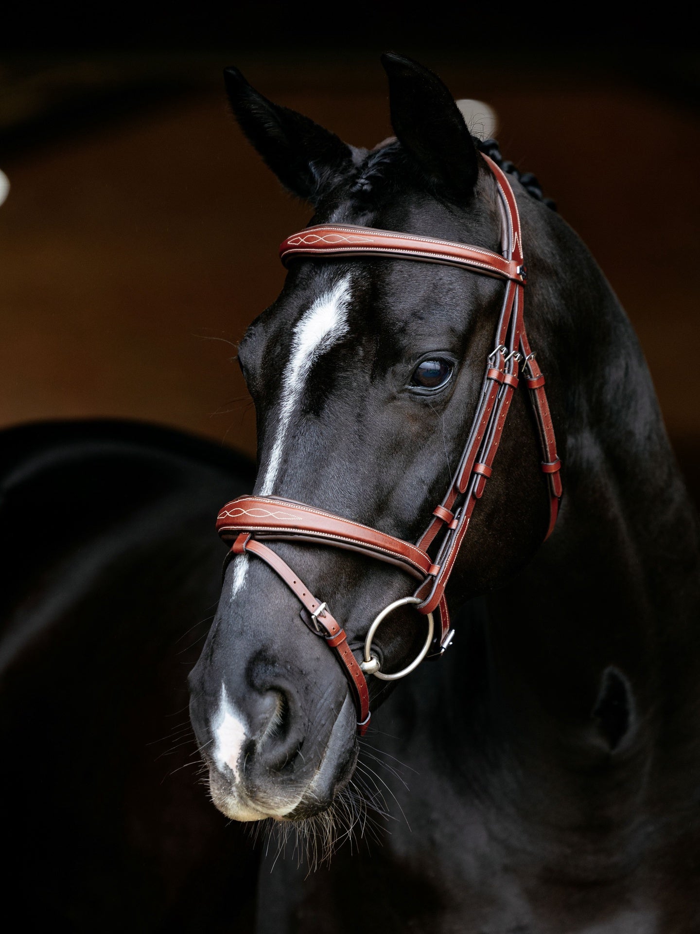 LeMieux Kudos Wedstrijd Flash Hoofdstel Trenshoofdstellen - Maddelin Equestrian LeMieux