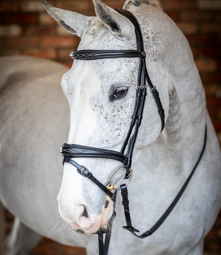 LeMieux Kudos Wedstrijd Flash Hoofdstel Trenshoofdstellen - Maddelin Equestrian LeMieux