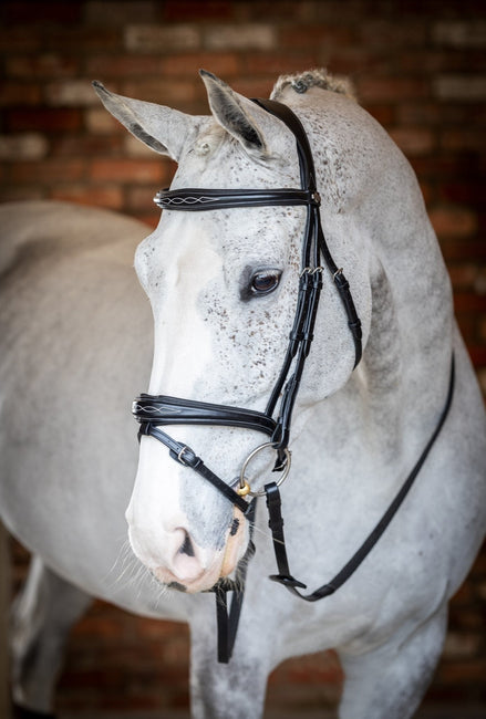 LeMieux Kudos Wedstrijd Flash Hoofdstel Trenshoofdstellen - Maddelin Equestrian LeMieux