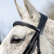LeMieux Kudos Wedstrijd Flash Hoofdstel Trenshoofdstellen - Maddelin Equestrian LeMieux