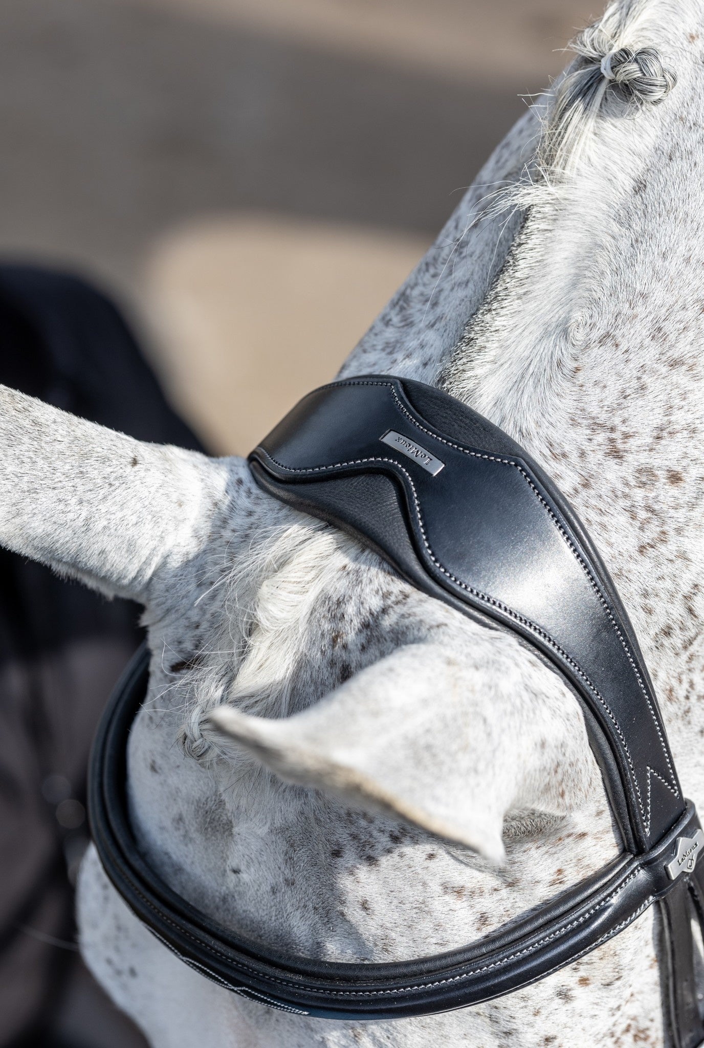 LeMieux Kudos Wedstrijd Flash Hoofdstel Trenshoofdstellen - Maddelin Equestrian LeMieux