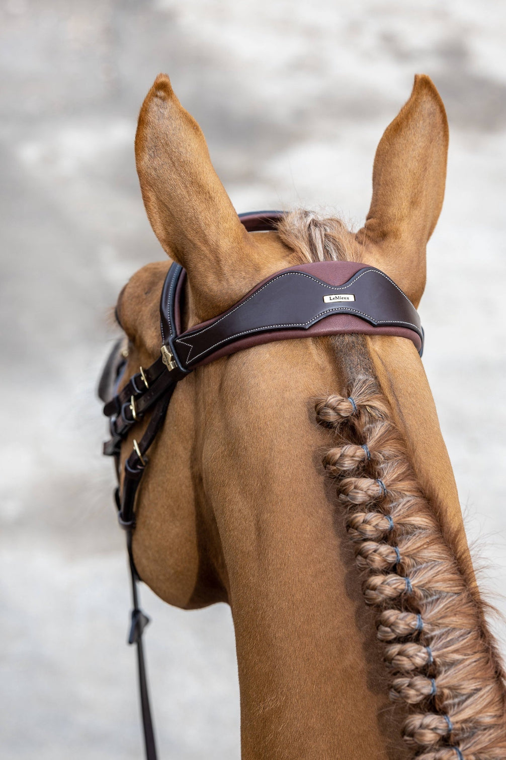 LeMieux Kudos Wedstrijd Flash Hoofdstel Trenshoofdstellen - Maddelin Equestrian LeMieux
