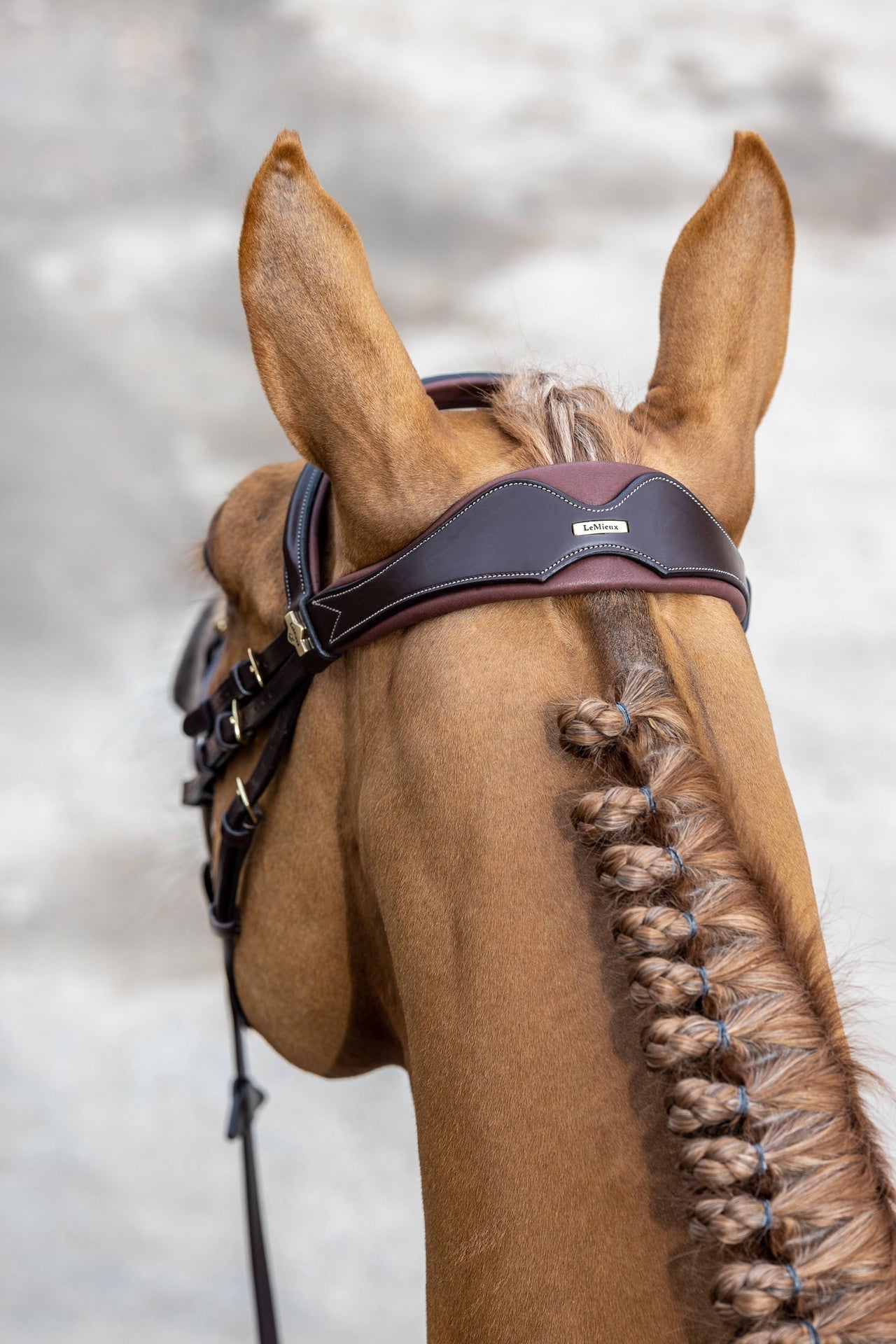 LeMieux Kudos Wedstrijd Flash Hoofdstel Trenshoofdstellen - Maddelin Equestrian LeMieux