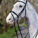 LeMieux Kudos Wedstrijd Flash Hoofdstel Trenshoofdstellen - Maddelin Equestrian LeMieux