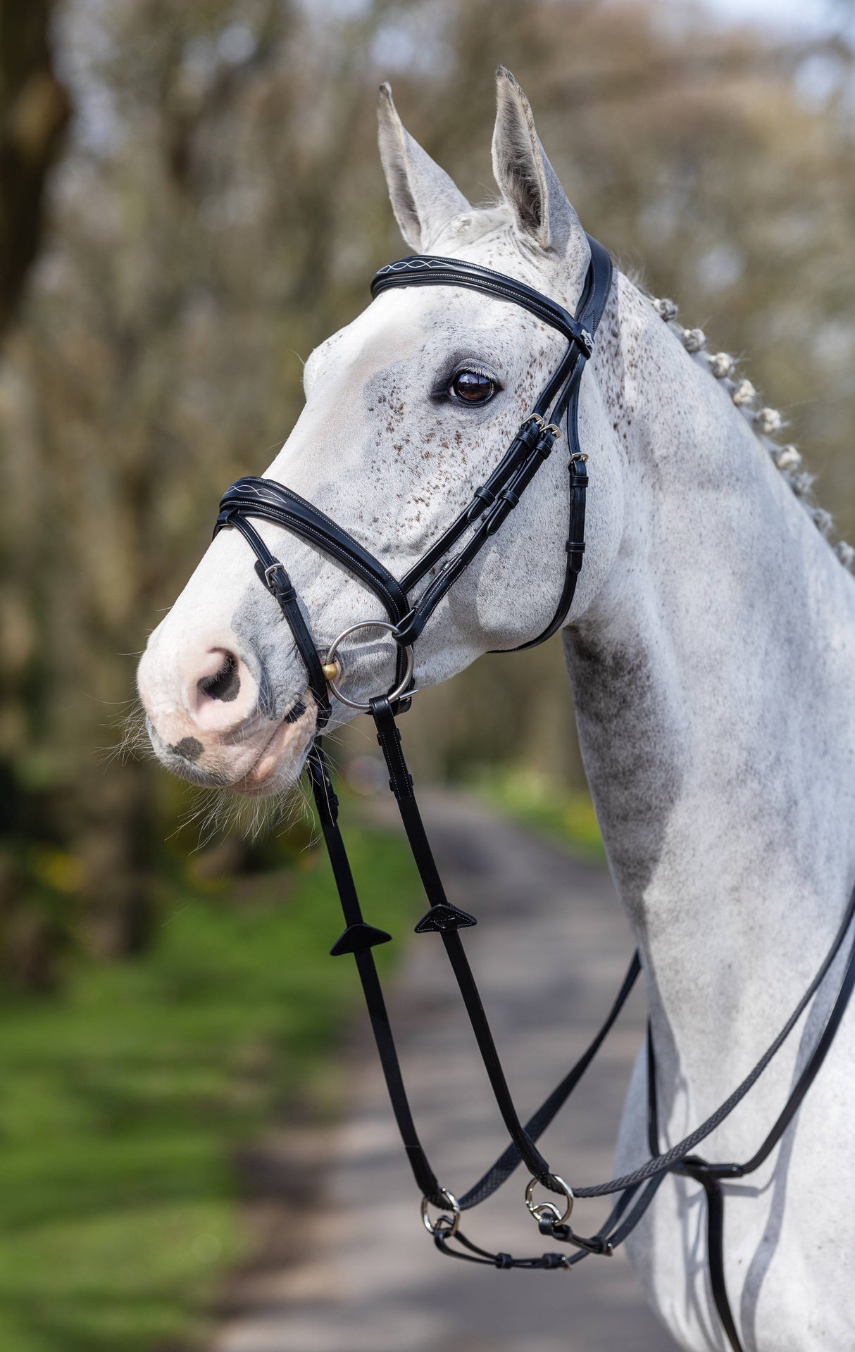 LeMieux Kudos Wedstrijd Flash Hoofdstel Trenshoofdstellen - Maddelin Equestrian LeMieux