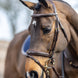 LeMieux Kudos Wedstrijd Flash Hoofdstel Trenshoofdstellen - Maddelin Equestrian LeMieux