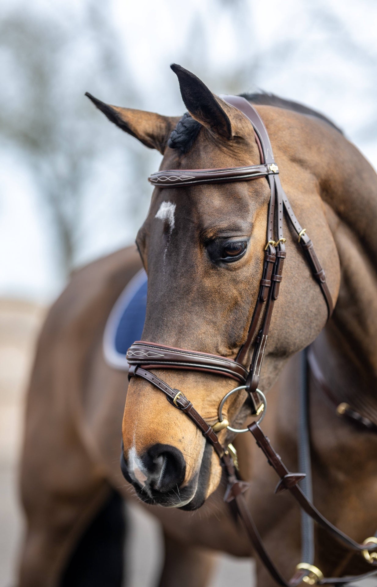 LeMieux Kudos Wedstrijd Flash Hoofdstel Trenshoofdstellen - Maddelin Equestrian LeMieux