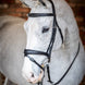 LeMieux Kudos Wedstrijd Flash Hoofdstel Trenshoofdstellen - Maddelin Equestrian LeMieux