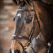 LeMieux Kudos Wedstrijd Flash Hoofdstel Trenshoofdstellen - Maddelin Equestrian LeMieux