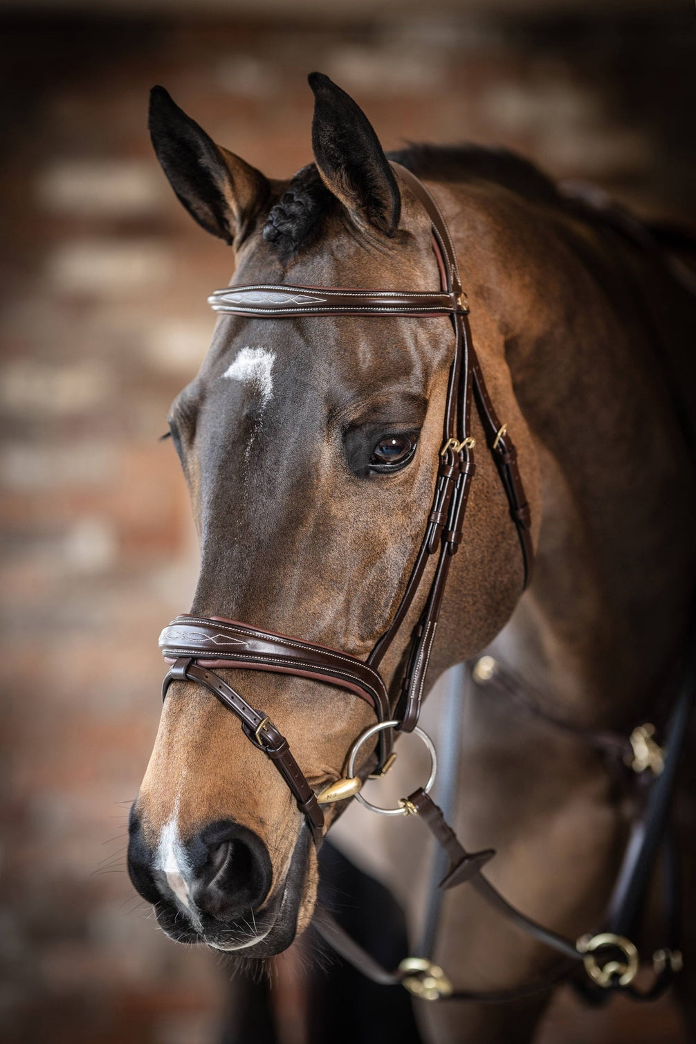 LeMieux Kudos Wedstrijd Flash Hoofdstel Trenshoofdstellen - Maddelin Equestrian LeMieux