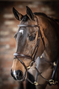 LeMieux Kudos Wedstrijd Flash Hoofdstel Trenshoofdstellen - Maddelin Equestrian LeMieux