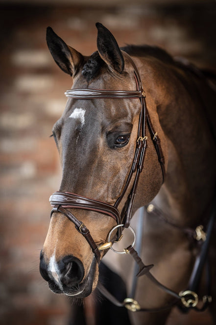 LeMieux Kudos Wedstrijd Flash Hoofdstel Trenshoofdstellen - Maddelin Equestrian LeMieux