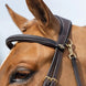 LeMieux Kudos Work Hoofdstel Trenshoofdstellen - Maddelin Equestrian LeMieux