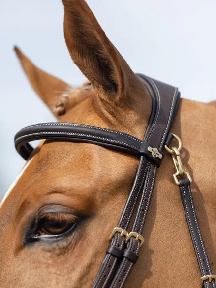 LeMieux Kudos Work Hoofdstel Trenshoofdstellen - Maddelin Equestrian LeMieux