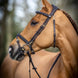 LeMieux Kudos Work Hoofdstel Trenshoofdstellen - Maddelin Equestrian LeMieux