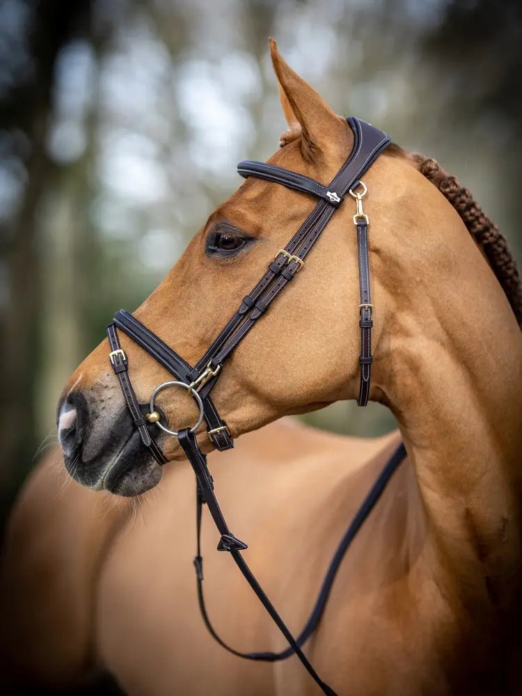 LeMieux Kudos Work Hoofdstel Trenshoofdstellen - Maddelin Equestrian LeMieux