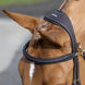 LeMieux Kudos Work Hoofdstel Trenshoofdstellen - Maddelin Equestrian LeMieux