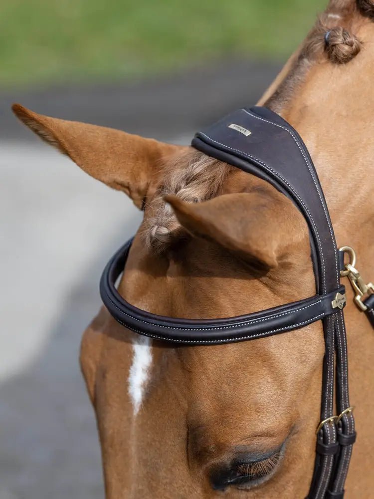 LeMieux Kudos Work Hoofdstel Trenshoofdstellen - Maddelin Equestrian LeMieux