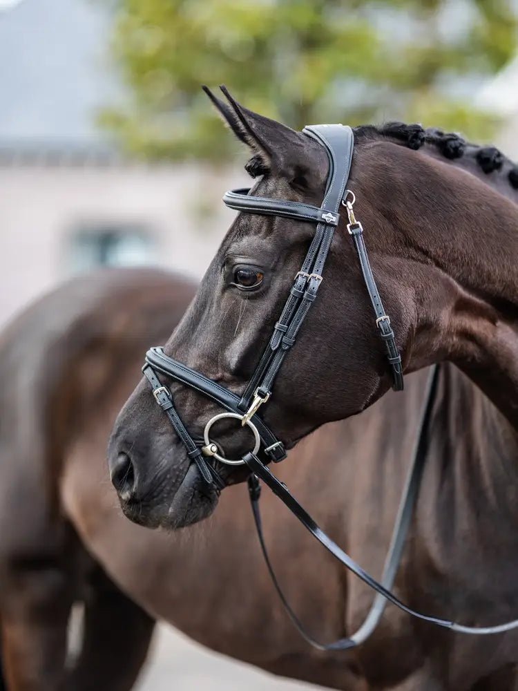 LeMieux Kudos Work Hoofdstel Trenshoofdstellen - Maddelin Equestrian LeMieux