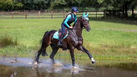 LeMieux LMX Shoc Air Cross Country Beenbeschermers Achterbenen Peesbeschermers - Maddelin Equestrian LeMieux