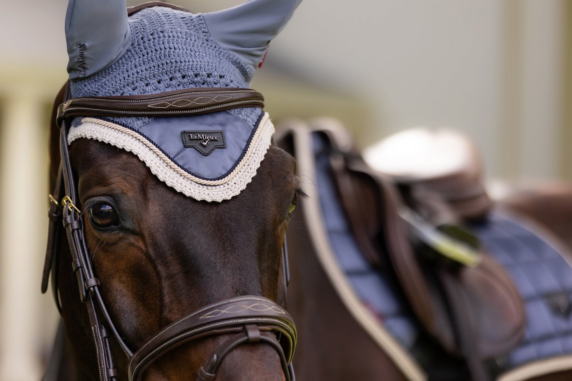 LeMieux Loire Classic Oornetje Oornetjes - Maddelin Equestrian LeMieux