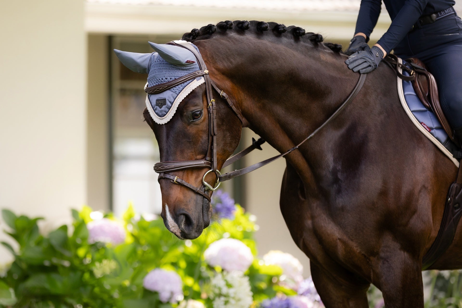 LeMieux Loire Classic Oornetje Oornetjes - Maddelin Equestrian LeMieux