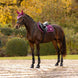 LeMieux Loire Classic Zadeldek AW26 Zadeldoeken - Maddelin Equestrian