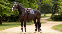 LeMieux Loire Classic Zadeldek Jay Blue Zadeldoeken - Maddelin Equestrian LeMieux