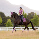 LeMieux Loire Classic Zadeldek SS26 Zadeldoeken - Maddelin Equestrian LeMieux