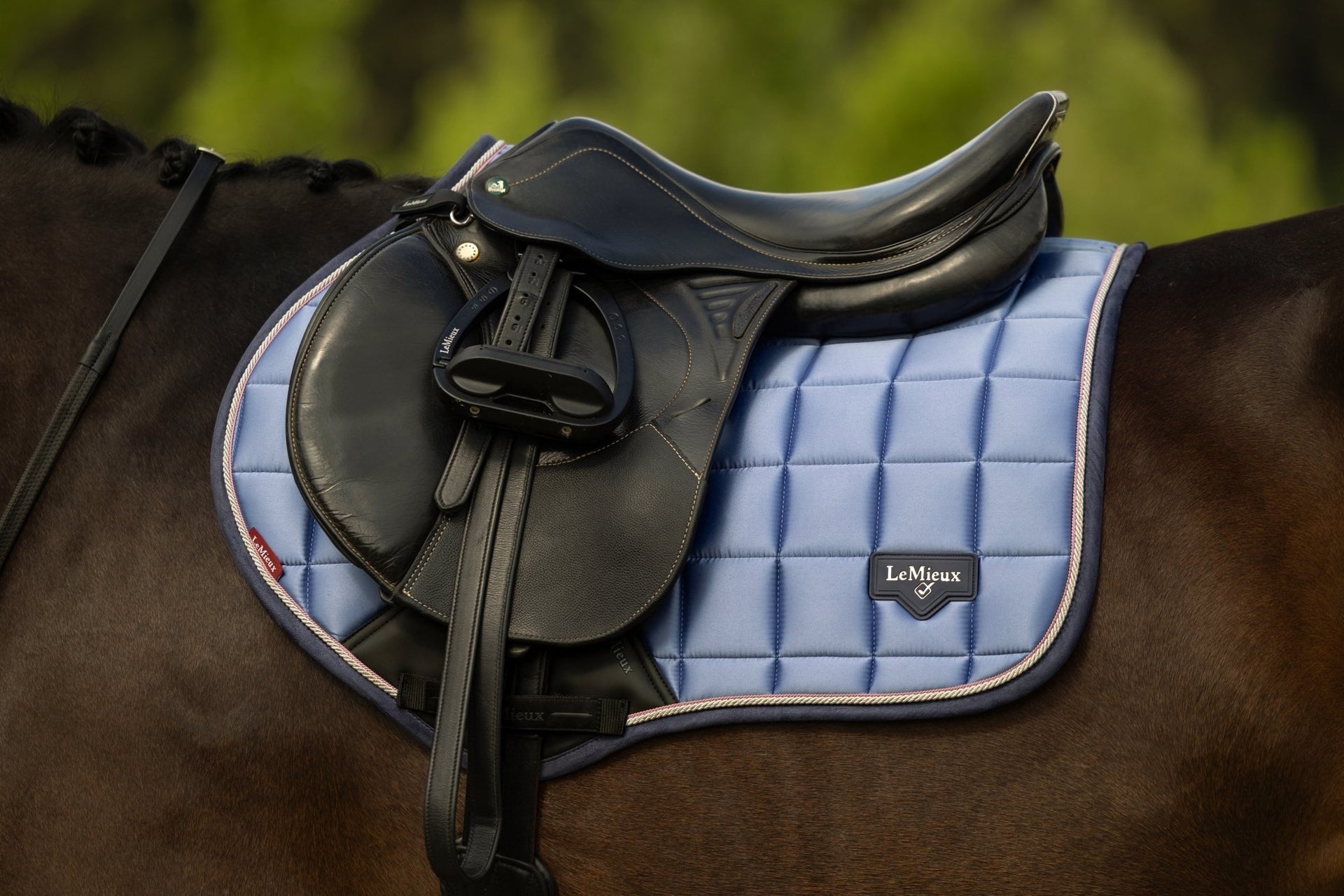 LeMieux Loire Classic Zadeldek SS26 Zadeldoeken - Maddelin Equestrian LeMieux