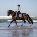 LeMieux Loire Classic Zadeldek SS26 Zadeldoeken - Maddelin Equestrian LeMieux