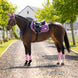LeMieux Loire Classic Zadeldek SS26 Zadeldoeken - Maddelin Equestrian LeMieux