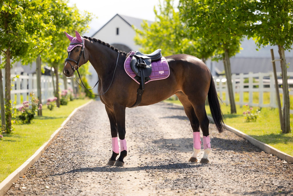 LeMieux Loire Classic Zadeldek SS26 Zadeldoeken - Maddelin Equestrian LeMieux