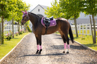 LeMieux Loire Classic Zadeldek SS26 Zadeldoeken - Maddelin Equestrian LeMieux