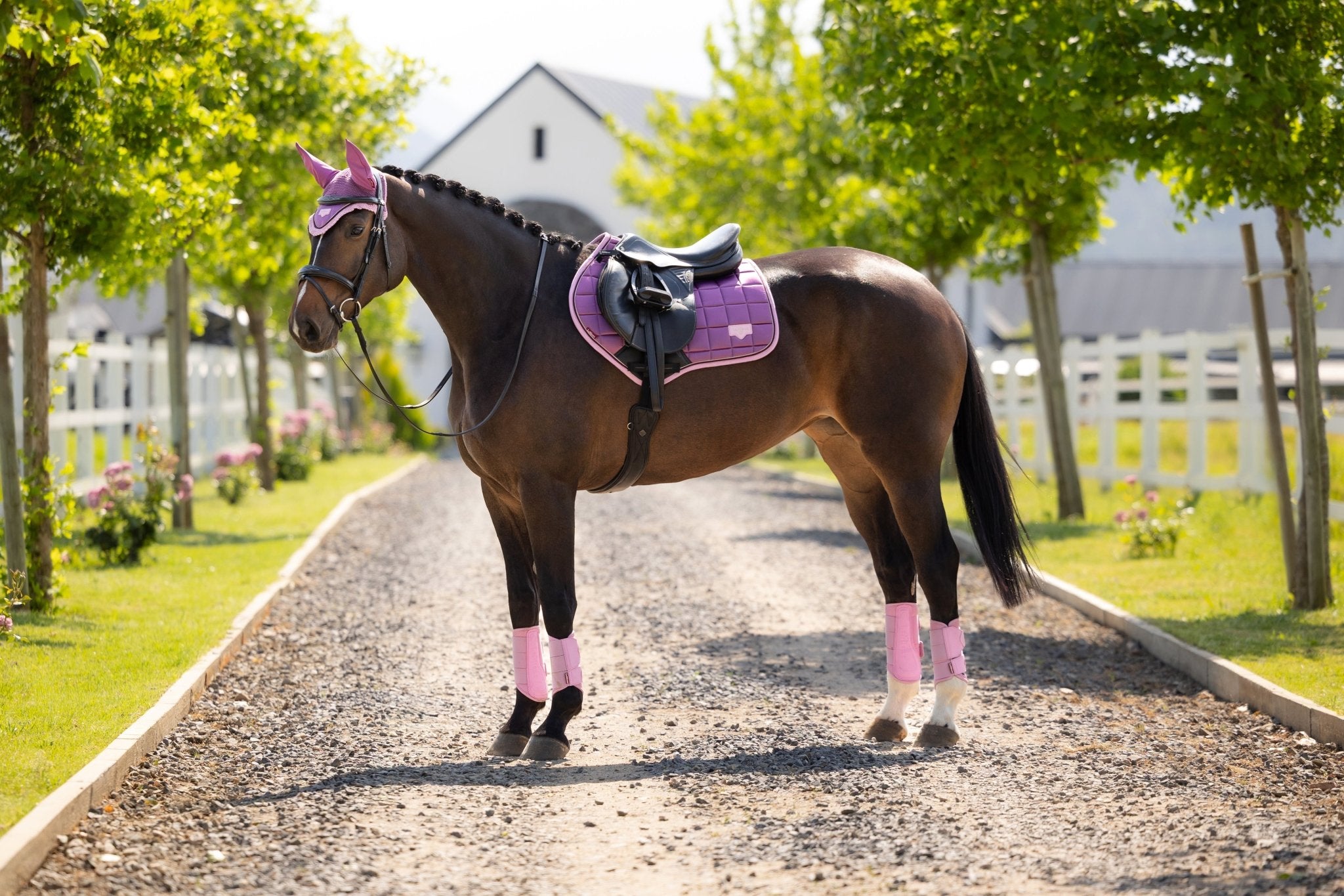 LeMieux Loire Classic Zadeldek SS26 Zadeldoeken - Maddelin Equestrian LeMieux