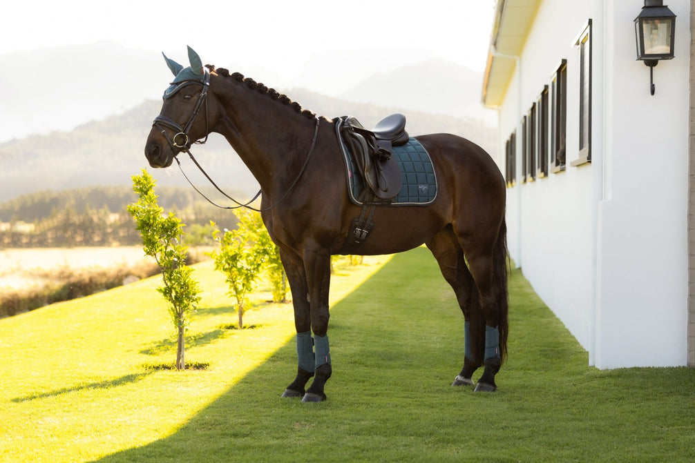 LeMieux Loire Classic Zadeldek SS26 Zadeldoeken - Maddelin Equestrian LeMieux