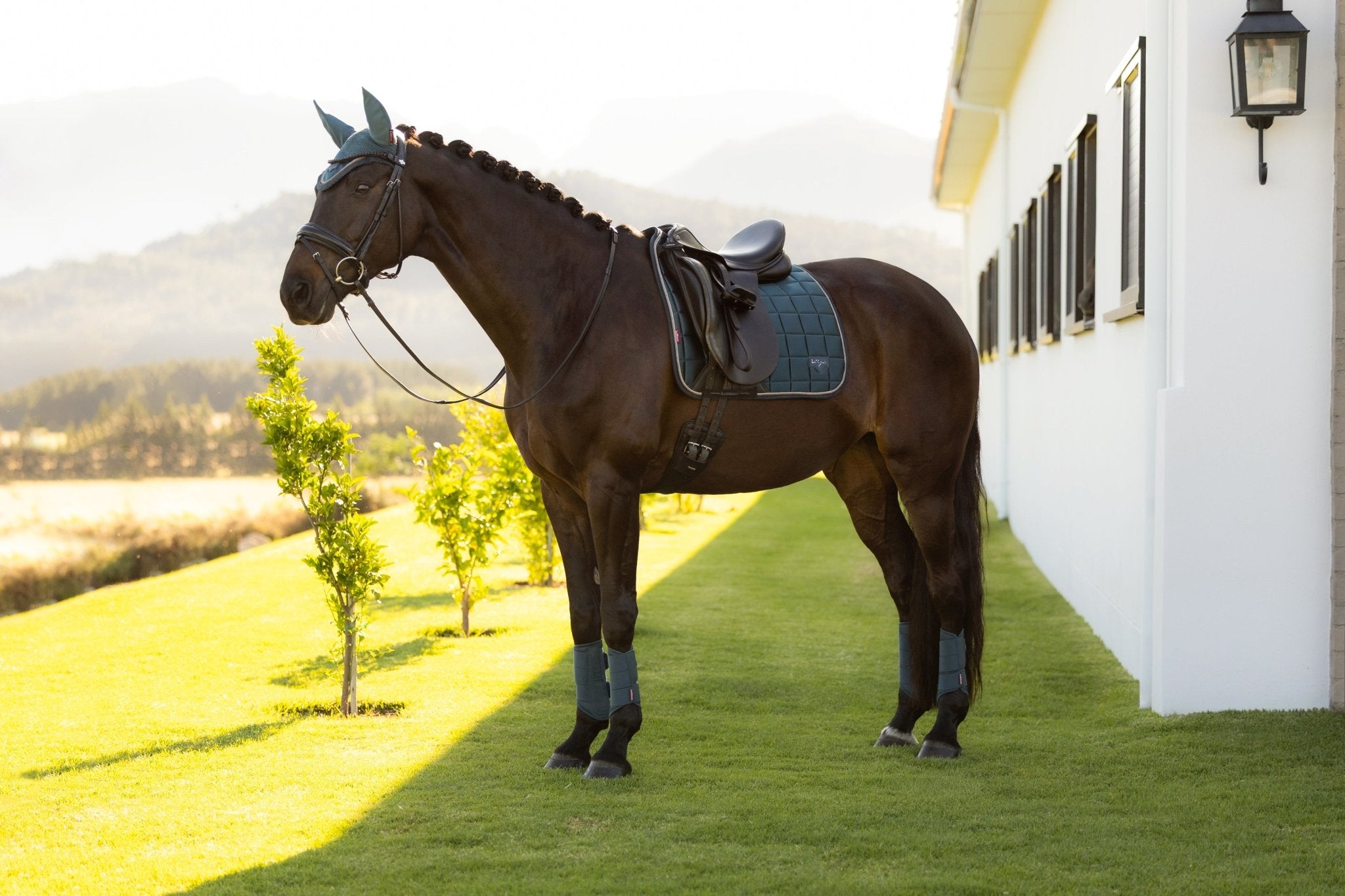 LeMieux Loire Classic Zadeldek SS26 Zadeldoeken - Maddelin Equestrian LeMieux