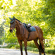 LeMieux Loire Classic Zadeldek SS26 Zadeldoeken - Maddelin Equestrian LeMieux