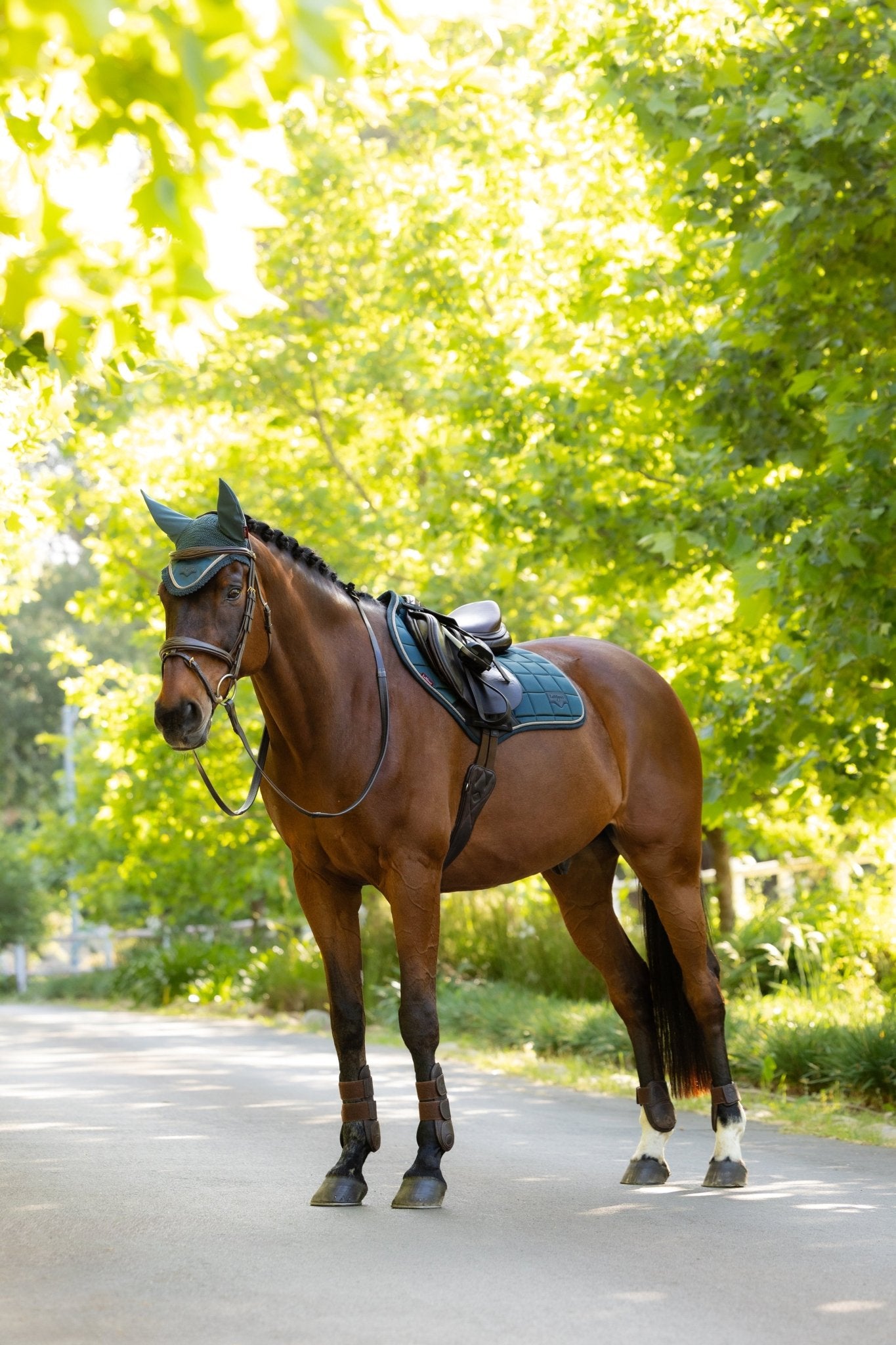 LeMieux Loire Classic Zadeldek SS26 Zadeldoeken - Maddelin Equestrian LeMieux