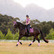 LeMieux Loire Classic Zadeldek SS26 Zadeldoeken - Maddelin Equestrian LeMieux