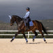 LeMieux Loire Classic Zadeldek SS26 Zadeldoeken - Maddelin Equestrian LeMieux