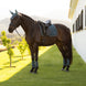 LeMieux Loire Classic Zadeldek SS26 Zadeldoeken - Maddelin Equestrian LeMieux