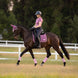 LeMieux Loire Classic Zadeldek SS26 Zadeldoeken - Maddelin Equestrian LeMieux