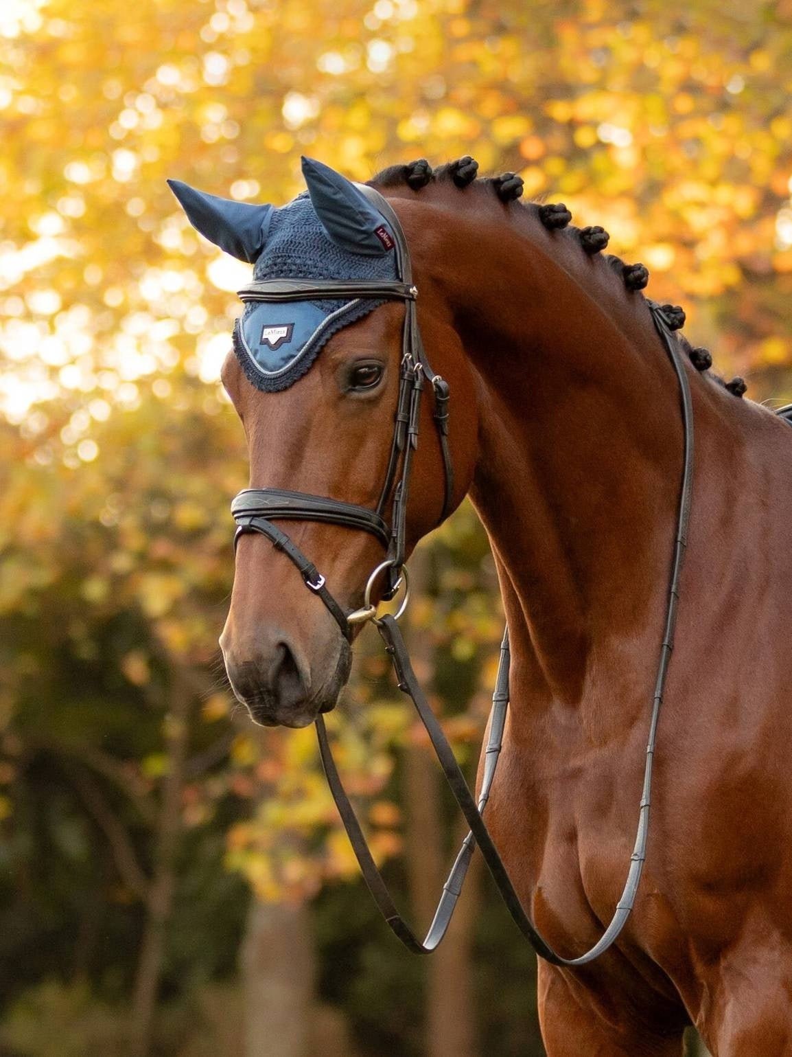 LeMieux Loire Oornetje Atlantic Large Oornetjes - Maddelin Equestrian LeMieux