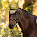LeMieux Loire Oornetje AW26 Oornetjes - Maddelin Equestrian