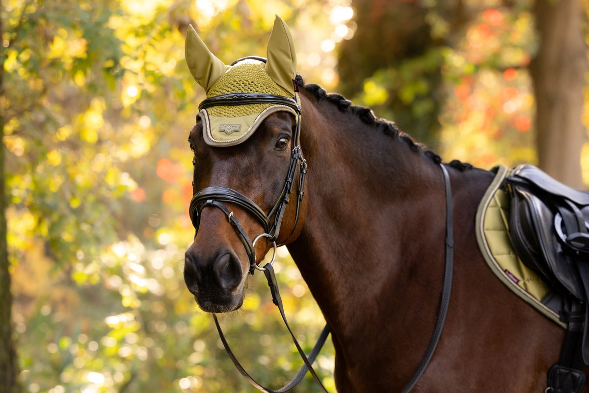 LeMieux Loire Oornetje AW26 Oornetjes - Maddelin Equestrian